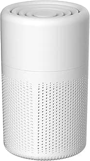 Filter Portable Purifier for home with USB Type C Cable,portabilitysmall air purifier,3-Stage Filtration System and Quiet Air Cleaner With Night Light,for Smokers Pollen Pets Dust Office,Aromatherapy