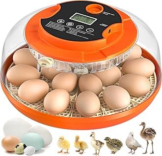 18 Egg Incubator with Automatic Egg Turning and Humidity Control, Incubators for Hatching Eggs, Chicken, Ducks, Goose, Pigeon, Quail, Parrot Incubator for Farm, Lab, Science Classroom, Home (Orange)